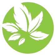 efi